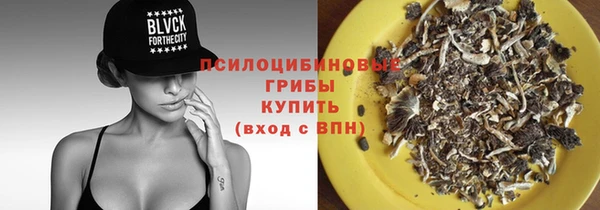 mdpv Алзамай